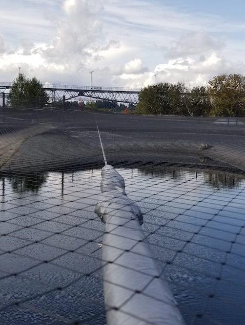 afterseatac2